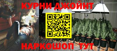 крисы Сланцы