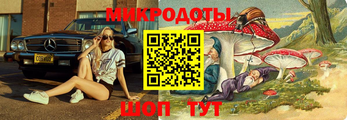 Лесосибирск  купить   Вход с VPN  Галлюциногенные грибы MAGIC MUSHROOMS 